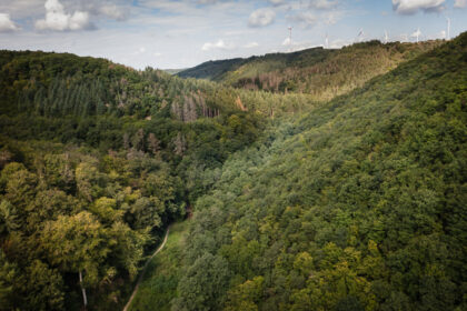 Green Valley