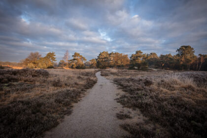 Heather Path