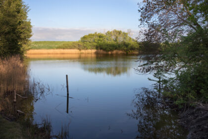 Small Pond